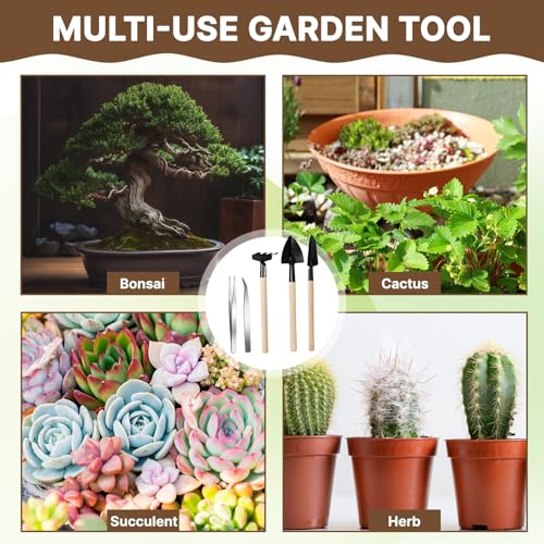 Kit de herramientas para bonsái Frienda 7 piezas miniatura 5