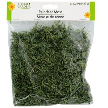 Floral Garden Reindeer Moss 24 CU IN (0.39 L)