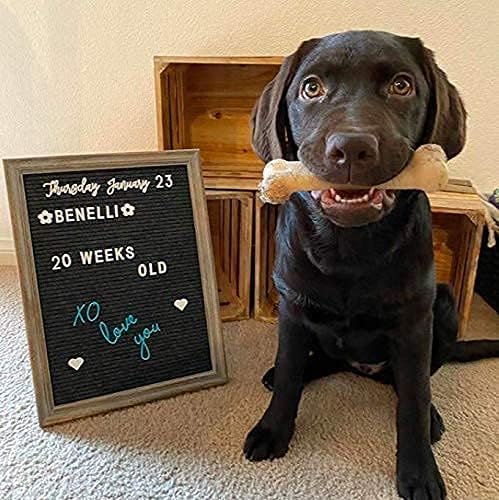 Miniatura 5 de Cartel de tablero de letras intercambiables con marco de madera de 12 x 16 pulgadas con soporte, tablero de palabras con letras intercambiables -