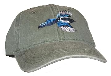 best bird feeders for black billed magpies that will amaze you 1 best bird feeders for black billed magpies