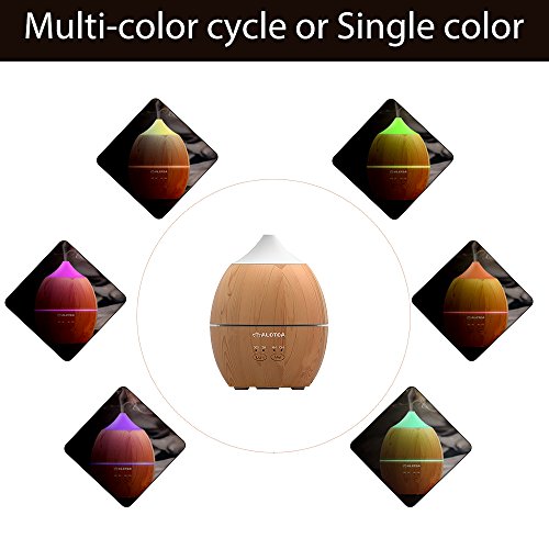 ALOTOA 300ml Diffusore di Aromi Ultrasuoni, con
