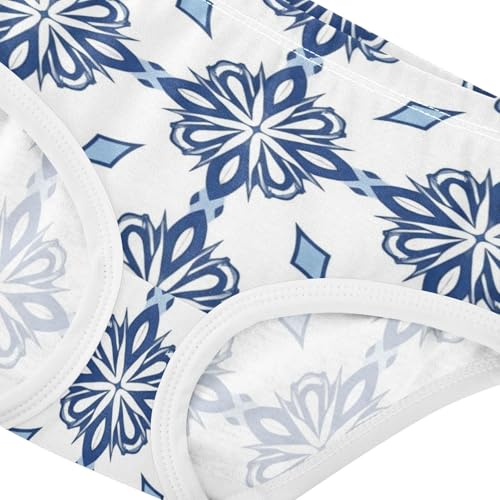 Cartoon Girls Underwear Toddlers 2t Cotton Little Girl Panties Mexican Graphic Blue Flowers Briefs Kids Undies4