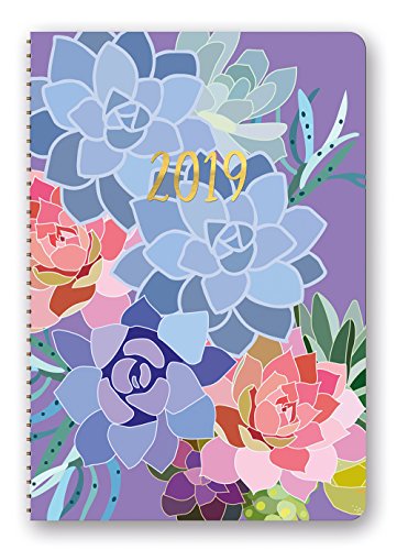 Orange Circle Studio 2019 On-Time Weekly Planner, August 2018 - December 2019, Succulent Paradise
