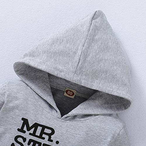 Toddler Baby Boy Clothes, Long Sleeve Letter Hoodies Top+Ripped Denim Pants 2pcs Fall Winter Outfit Sets Grey