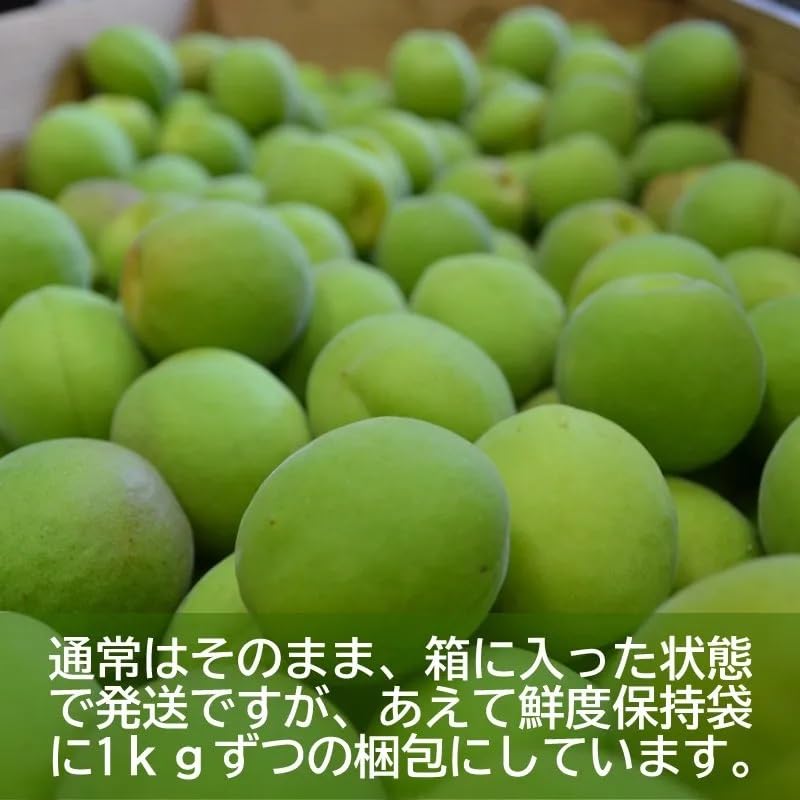 Amazon.co.jp: 善八の「豊後梅」青梅 (規格外品 Sサイズ) | 青森県産