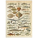MyPuzzle.com
