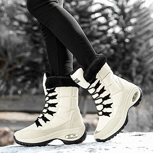 Winter Dames Laarzen Hoge Kwaliteit Houd Warm Mid-Calf Snowboots Dames  Lace-up Comfortabele Dames Chunky Boots Platform (Color : Black, Shoe Size  : 40) : Amazon.nl: Kleding, schoenen \u0026 sieraden