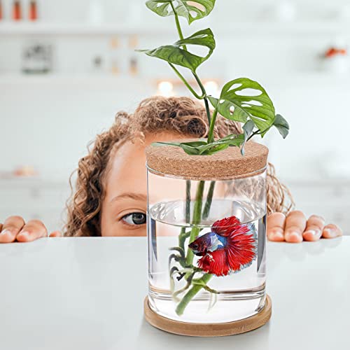 Betta Fish Tank - Mini Fish Bowls for Beta Fish, Glass Aquaponic Fish Tank Clear Hydroponic Plant Terrarium for Promoted Ecosphere Aquatic Ecosystem - 6.7\" H * 3.9\" D