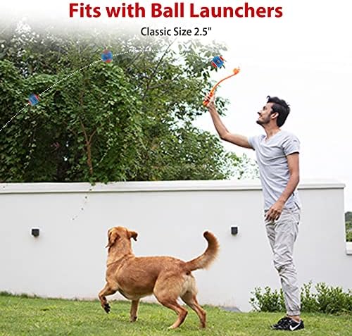 GiGwi Tennis Balls for Dogs, Squeaky Dog Tennis Balls for Exercise, High Bouncy Dog Balls Bright Colors 2.5 Inches, Interactive Funny Dog Toys for All Breeds of Dogs Indoor & Outdoor Dog Games, 3 Pack