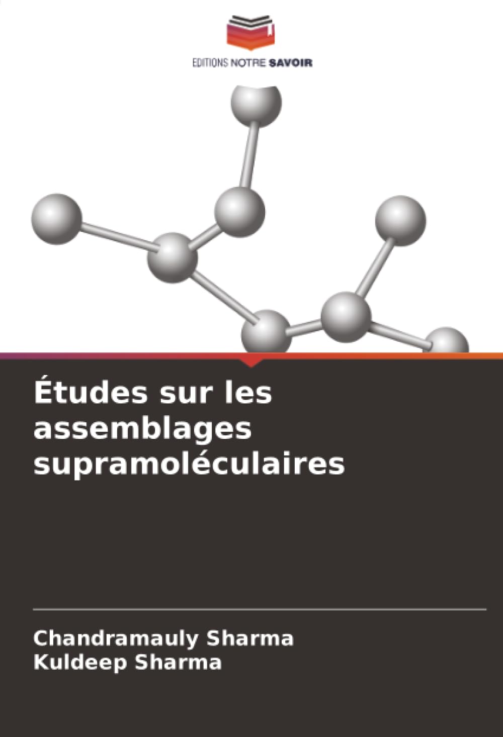 Études sur les assemblages supramoléculaires