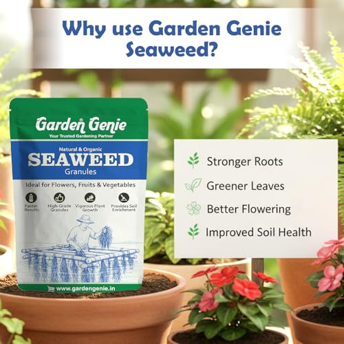 Image of Garden Genie Seaweed Extract Granules for Plants 250 Gm | Organic Fertilizer and Growth Promoter for All Indoor, Outdoor Home Garden Plants