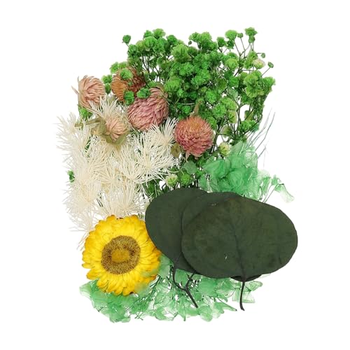Set de Flores Secas Naturales para Manualidades miniatura 1