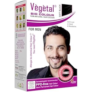 Vegetal Bio Colour – Experience Natural Black Beard Hair Color for Men | Ammonia-Free, PPD-Free, 100% Organic, and Herbal | Safe and Effective Beard Dye | Complete Kit Included | 25g
