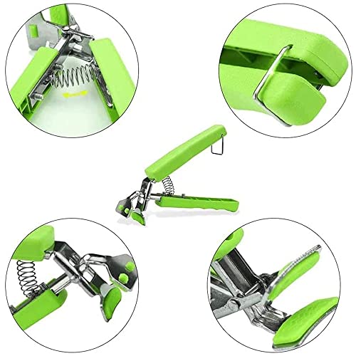 Mnixy Qiwenr XY00040 4 pinze per ciotole, pinze