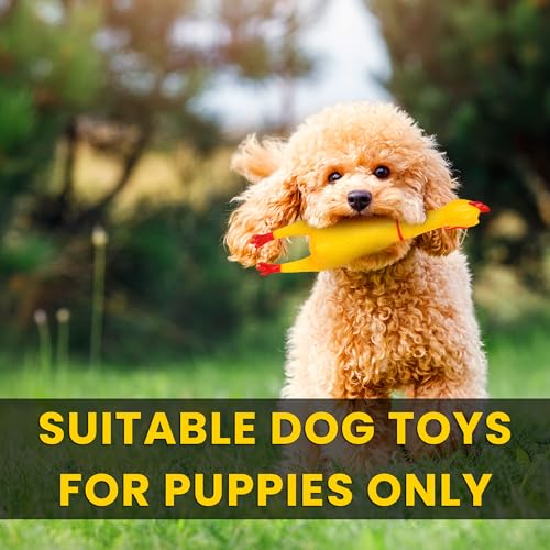 Image of POLKA Latex Chicken Squeaky Toy for Dogs - Funny Rubber Chew Toy with Loud Sound - Reduce Separation Anxiety Toys for Dogs & Puppy - Interactive Pet Toy for Play & Training