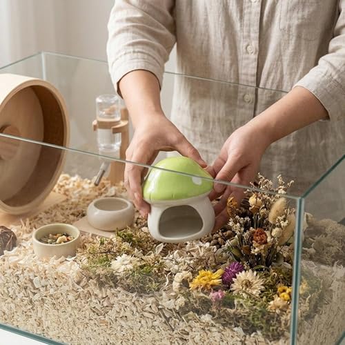 Maison en céramique pour hamster anti-mastication abri propre