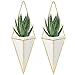 Nellam Ceramic Planter Set - 2 Pcs Modern Geometric Hanging Wall Pots - Brass Framed, Mounted Decorative Vases & Container for Indoor Plants & Succulents - for Flowers, Herbs, Vegetables
