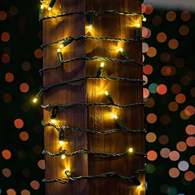 Novelty Lights 50ft 100 LED Warm White Christmas Lights Outdoor/Indoor, 6 Spacing, Green Wire String Lights for Festive Xmas Lighting, IP55, UL Listed, Dimmable, Connectable