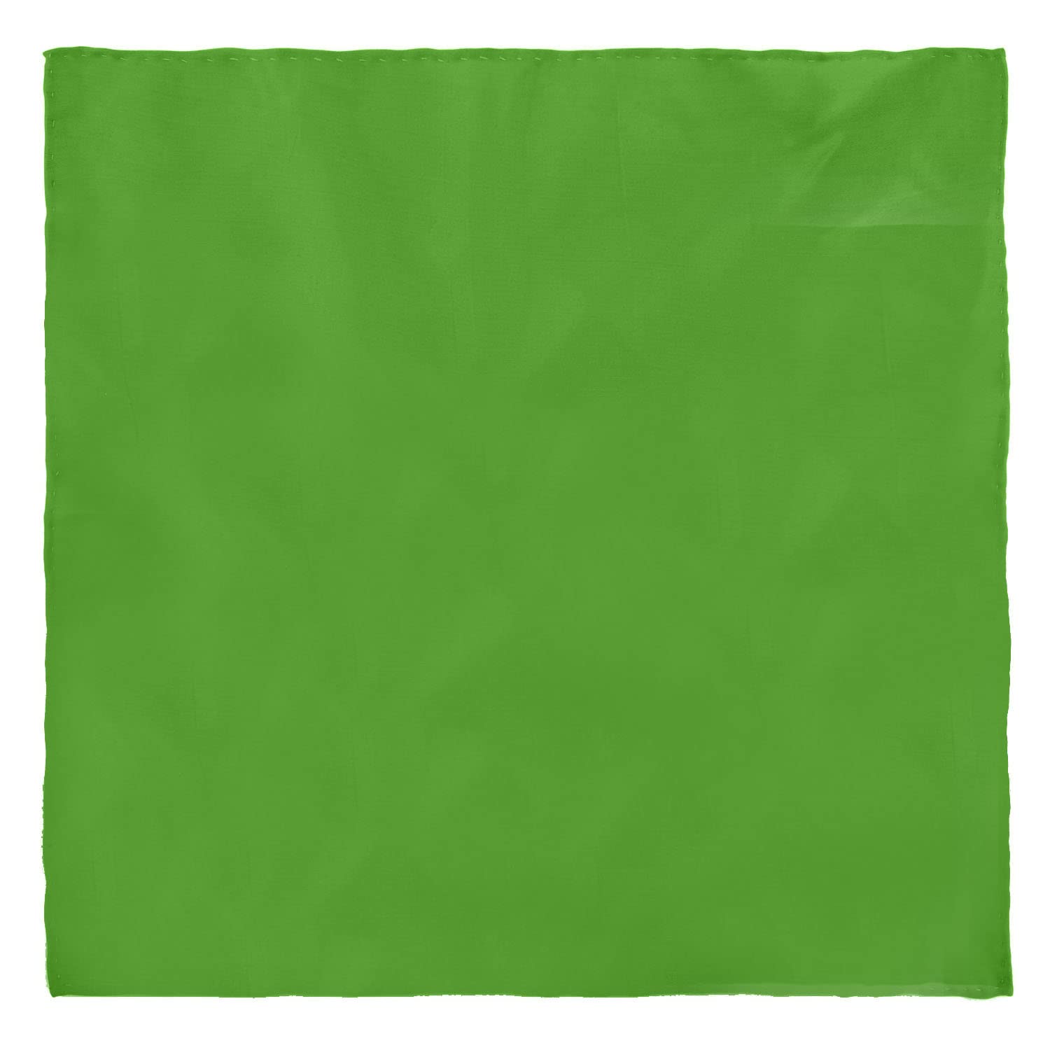 the tie hub Solid Silk Pocket Square For Men-picture-23