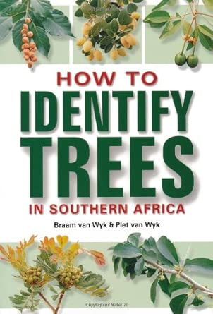 How to Identify Trees book cover