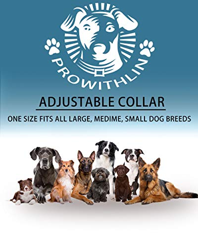 prowithlin Collar Antiparasitario para Perros, 62cm Natural Collar Anti-pulgas Ajustable 8 Meses de Prevención Talla Unica para Todos 3 AJUSTABLE: Nuestro Collar Antiparasitario para Perros está diseñado para 63 cm de longitud, por lo tanto, se adapta a perros de todos los tamaños y edades. Si el collar antipulgas es demasiado largo, córtelo demasiado y manténgalo en la casa del perro para obtener protección adicional.
PREVENCIÓN DE BOLETOS DE 8 MESES: El Collar Antiparasitario Prowithlin es un medicamento eficaz para repeler las garrapatas por hasta 8 meses. Los ingredientes activos funcionarán mejor durante este período. Posteriormente, se debe reemplazar por otra protección máxima.
SEGURO, ECOLÓGICO: Gracias a la composición natural, los collares Prowithlin son absolutamente inofensivos para la salud de su perro. No contiene productos químicos tóxicos que causan alergias a su mascota.