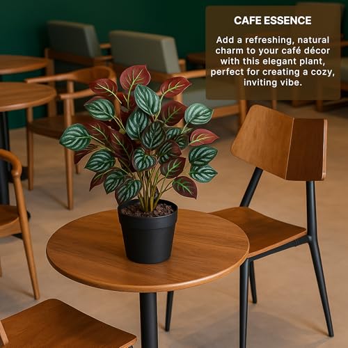 Image of Habere India-All the Cultures Fabricating India Artificial Plant with Pot for Home Decor | Fake Plants for Living Room Decoration | Artificial Plants for Decoration (Design 02; L24 x W25 X H38 cm)