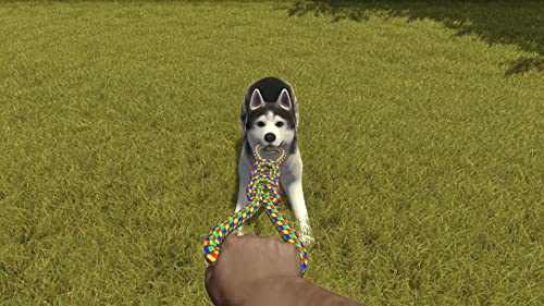 Maximum Entertainment GQT21839SWI House Flipper: Pets Edition Nintendo Switch thumb #7
