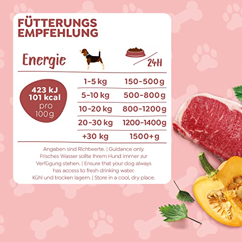 WOW Hundefutter nass Junior mit Rind, 6x800g | reichhaltiges Nassfutter für Welpen Aller Rassen I Beste Qualität mit viel frischem Fleisch, Kürbis I hohe Akzeptanz & getreidefrei