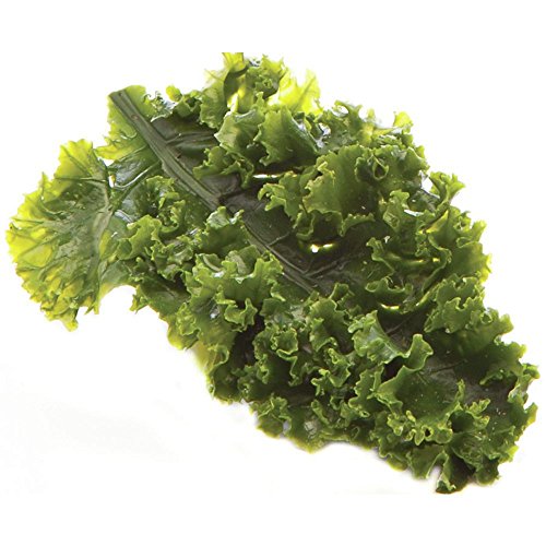 CCI IND INCREDIBLE INEDIBLES Artificial Kale Leaf Garnishing Green - 6