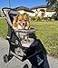ROODO Escort 3 Wheel Dog Cat Pet Stroller for Small/Medium Dogs Cats Best Lightweight Foldable Portable Compact Jogger All Terrain Travel Pet Gear System Puppy Doggie Bunny Kitty Stroller(Grey)