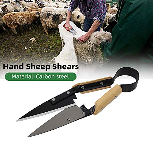 Hand Shears For Sheep Shearing, Single Bow Heavy Duty Onion/Sheep Shear For Alpaca, Pet Horse Dog Shearing, 6.1-Inch Carbon Steel Blade, 12.5-Inch Long #TOP1