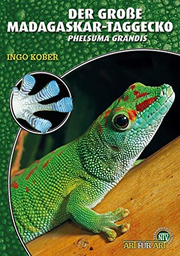 Der Große Madagaskar-Taggecko: Phelsuma grandis (Buchreihe Art für...