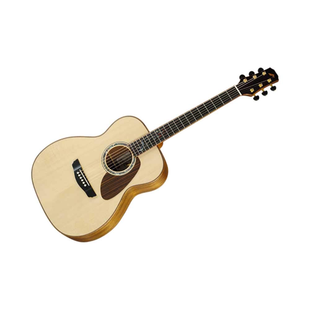 Amazon | MORRIS FH101 III NAT アコースティックギター | エレアコ