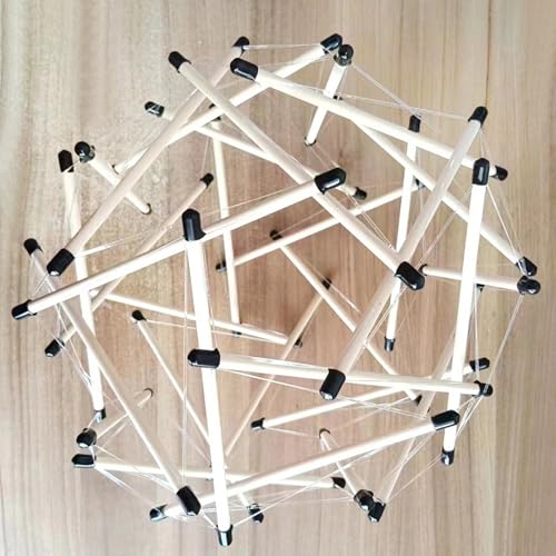 Modelo pélvico espinal integral de 24 cm para aprendizaje práctico 7