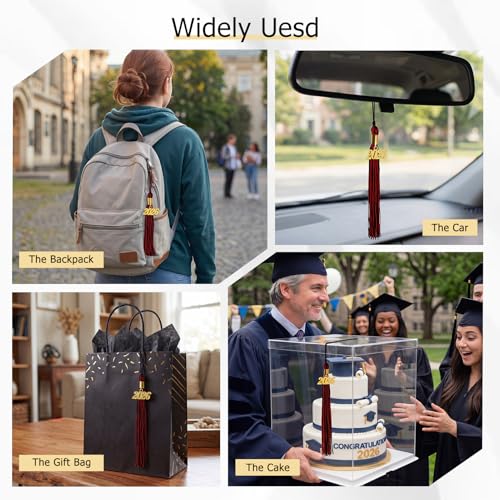 Image of GraduationMall Single&Multiple Color Graduation Tassel with 2026 Year Charm 9 inch