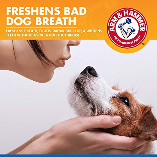 Arm-Hammer-for-Pets-Tartar-Control-Dental-Spray-for-Dogs-Dog-Dental-Spray-Reduces-Plaque-Tartar-Buildup-Without-Brushing-Mint-Flavor-4-Ounces - Cucciolini Doodles Arm-Hammer-for-Pets-Tartar-Control-Dental-Spray-for-Dogs-Dog-Dental-Spray-Reduces-Plaque-Tartar-Buildup-Without-Brushing-Mint-Flavor-4-Ounces