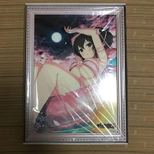 閃乱カグラ くじコレ 特賞ヴィヴィッドアートフレーム 斑鳩 www