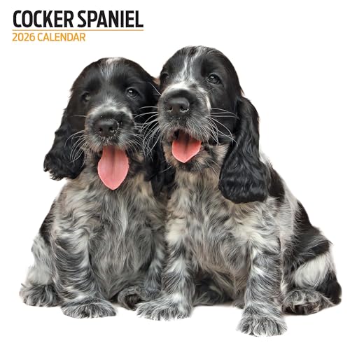 Calendario moderno 2026 Cocker Spaniel