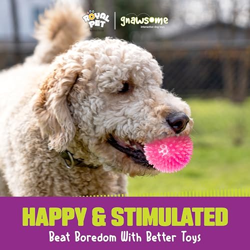 Gnawsome™ 3.5” Spiky Squeak & Light Ball Dog Toy – Medium, Cleans Teeth and Promotes Good Dental and Gum Health for Your Pet, Colors will vary, 3.5″ Gnawsome™ 3.5” Spiky Squeak & Light Ball Dog Toy – Medium, Cleans Teeth and Promotes Good Dental and Gum Health for Your Pet, Colors will vary, 3.5″
