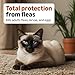 Amazon Basics Topical Flea Treatment for Medium Cats (5-9 Pounds), 4 Count, Packaging May Vary