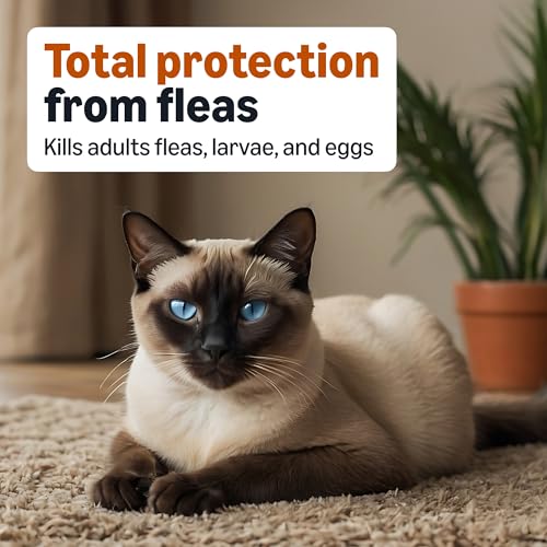Amazon Basics Topical Flea Treatment for Medium Cats (5-9 Pounds), 4 Count, Packaging May Vary - Image 4