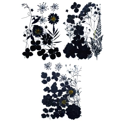 Set de 3 Flores Secas Negras Prensadas para Manualidades miniatura 1
