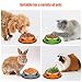 Katzennapf 3er Set + Katzen Spielzeug,Futternapf Katze 3 Teilig,Fressnapf Katze,Katzen Futternapf,Katzennäpfe,Katzenschüssel,Katze Futternapf,Katzenfutter Napf,Katzennapf Set,Futterschüssel Katze