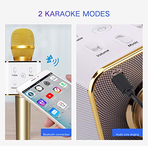 TOSING Q7 Wireless Bluetooth Karaoke Microphone,10W Dual Speakers Portable Handheld Karaoke Machine Christmas Birthday Home Party for Kids/Adults iPhone/iPad/Tablet/TV/PC/Android Smartphone(Golden)