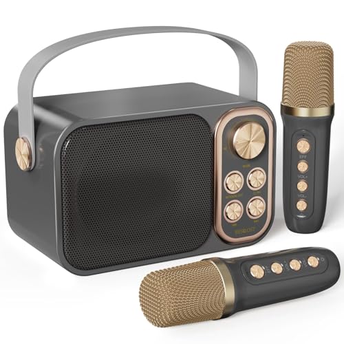 Machine de Karaoké avec 2 Micro sans Fil, Haut-Parleur Bluetooth Portable, Dispose 7 Effets Sonores, pour Fête et Voyage,Noir