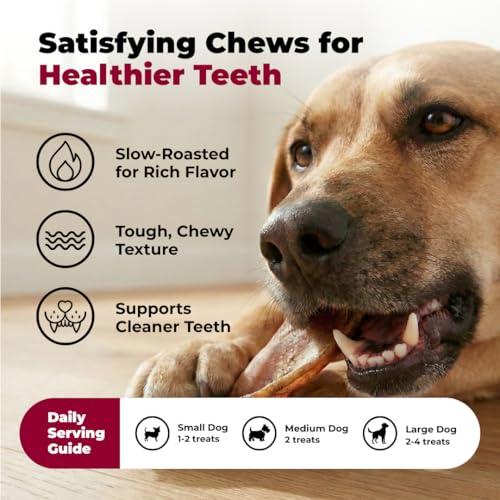 Image of Best Pet Supplies GigaBite Half-Cut Pig Ears for Dogs, 50 Pack - All-Natural Slow-Roasted Chews that Clean Teeth and Satisfy Aggressive Chewers