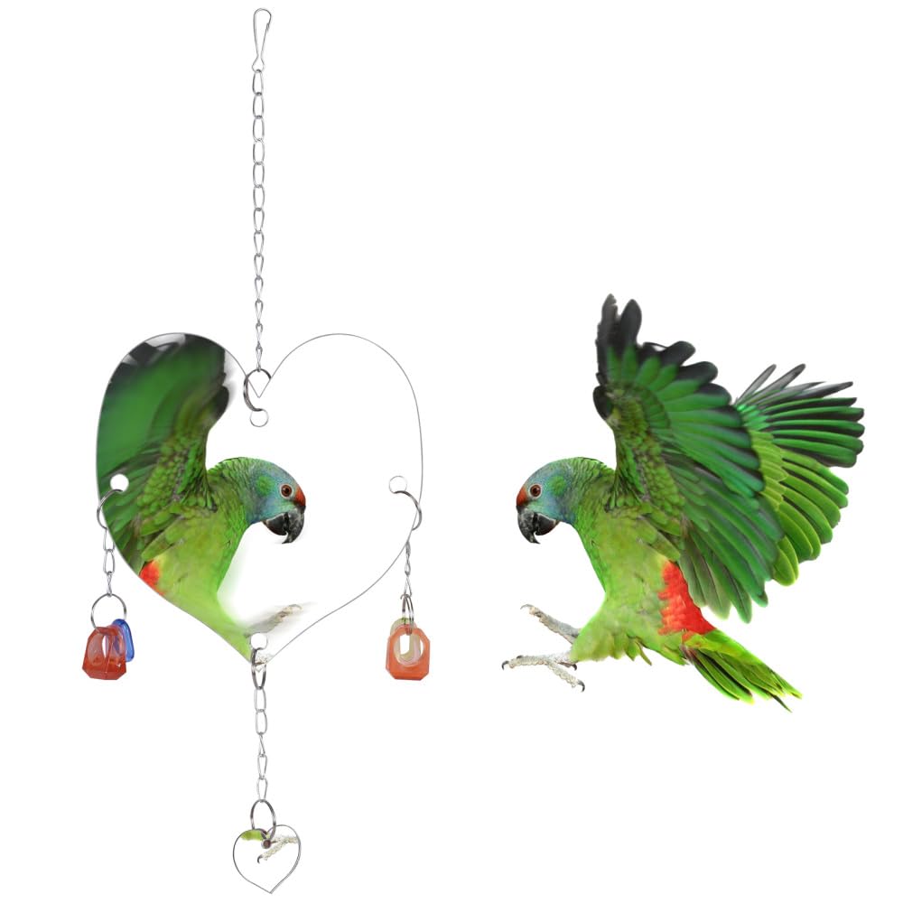 DONGKER Bird Mirror Toy,Hanging Chicken Swing Mirror Toy with Hook & Chains for Cockatiel, Parakeets, Lovebirds, Finch, Canaries, Budgie