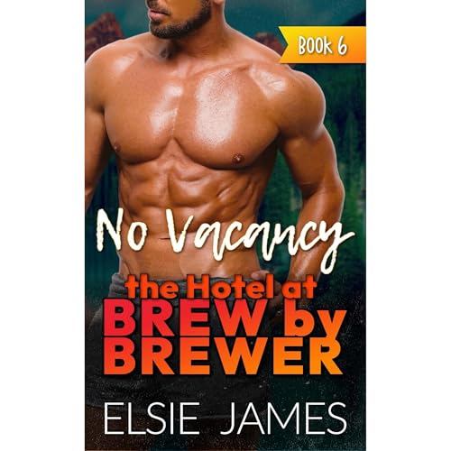 No Vacancy Audiolibro Por Elsie James arte de portada