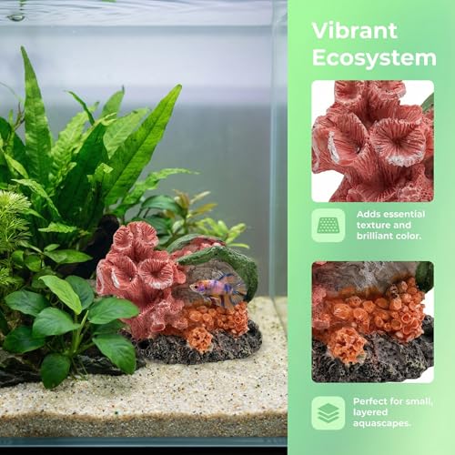 Image of Aquarium Decor Resin Coral Fish Tank Decorations, Small Aquarium Hideout Ornament for Betta Shrimp Goldfish, Fish Tank Accessories Decorations Artificial Reef