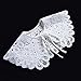 Joyci Women's White Hollow Out Lace Floral Fake Collar Lolita Big Shawl False Collar for Summer Dress (J10)
